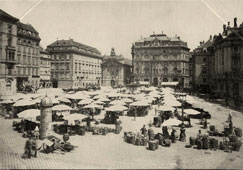 Vienna. View of Square with Market